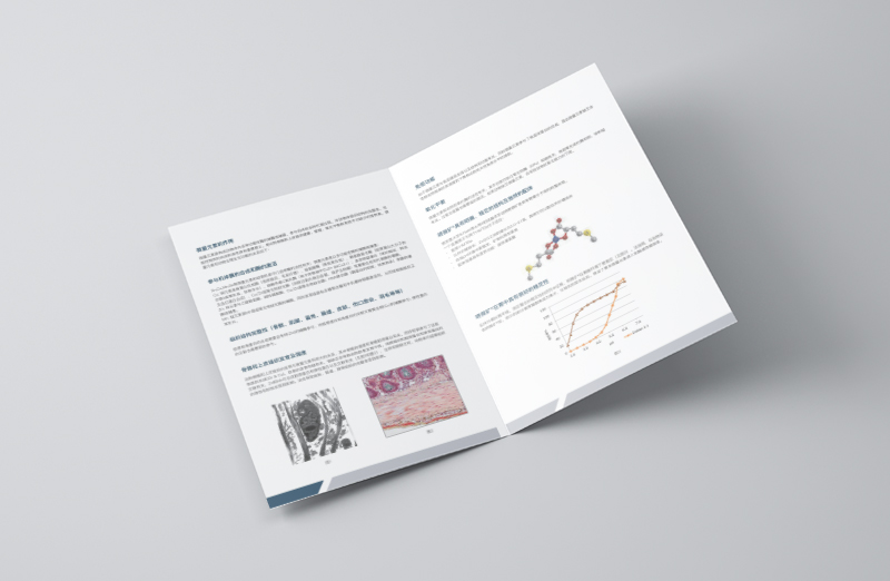 飼料產(chǎn)品宣傳二折頁設計